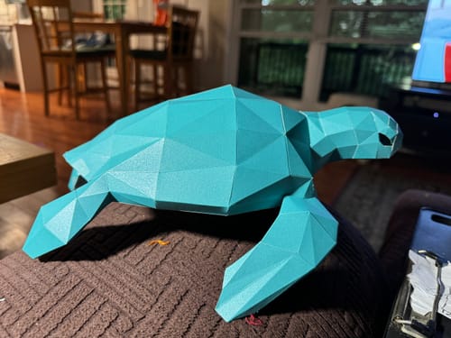 Customer photo review of Sea Turtle - Digital PDF Template