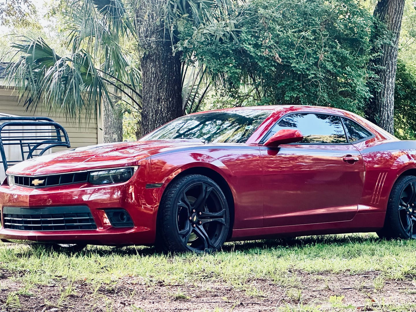 Customer photo review of 717 Supply Bug & Tar Remover