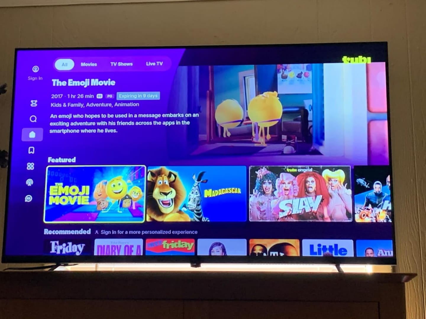 Customer photo review of Palette 43 inch Smart Google TV
