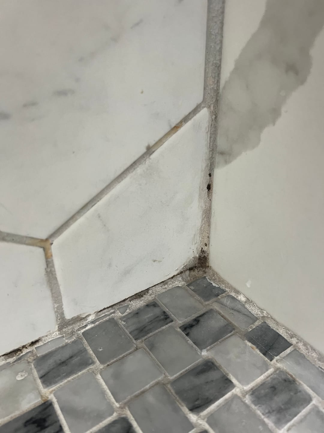 Customer photo review of GLASSGUARD™ Miracle Mold Stain Cleaner Gel