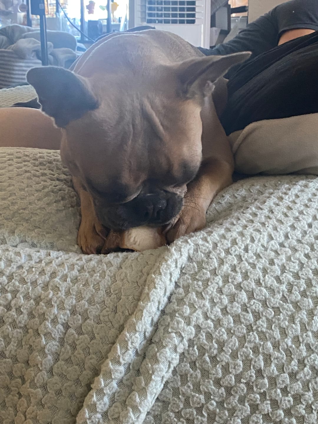 Customer photo review of Smoked Beef Marrow Bones