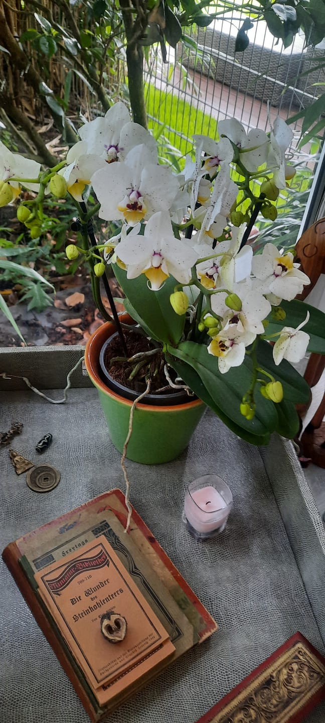 Customer photo review of Wasserfall Table Dance Orchidee in weiß mit Keramik