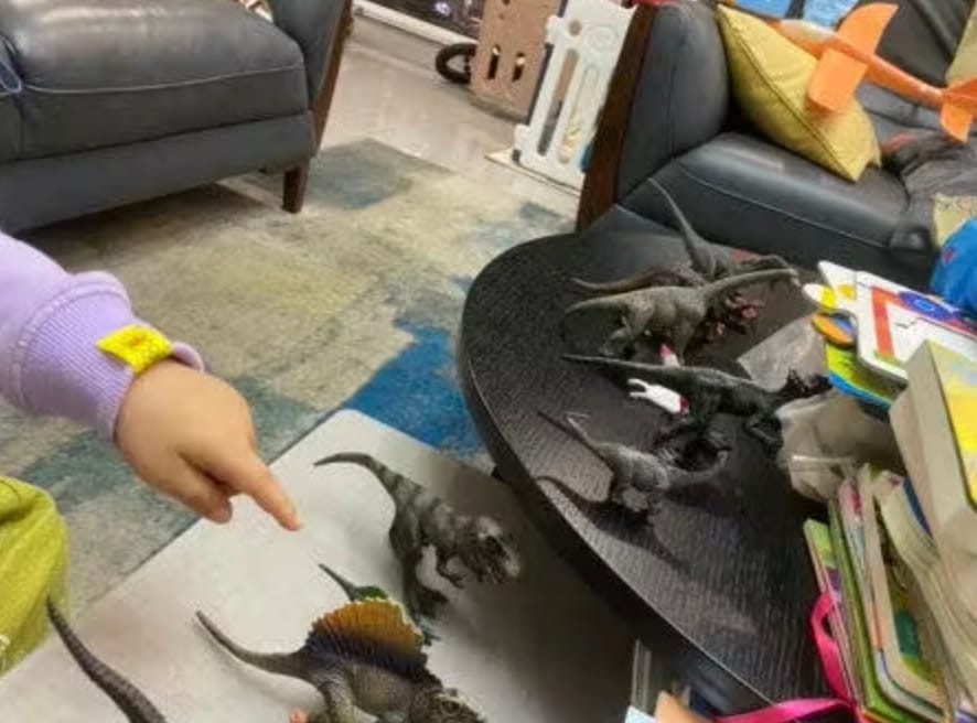 Customer photo review of Mideer Dinosaur Toys Set 24 Pcs