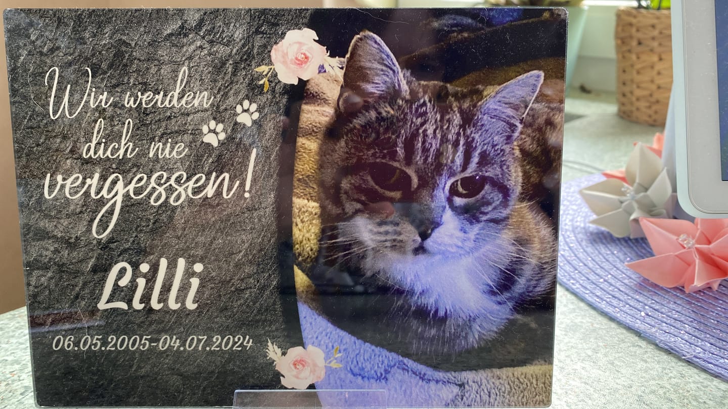 Customer photo review of Katzen Gedenktafel mit Foto & Spruch (UV- & Wetterfest)