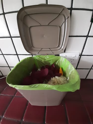 Customer photo review of Produce Semi Transparent Bag with Star Seal Gusset - 250 Bags Per Roll