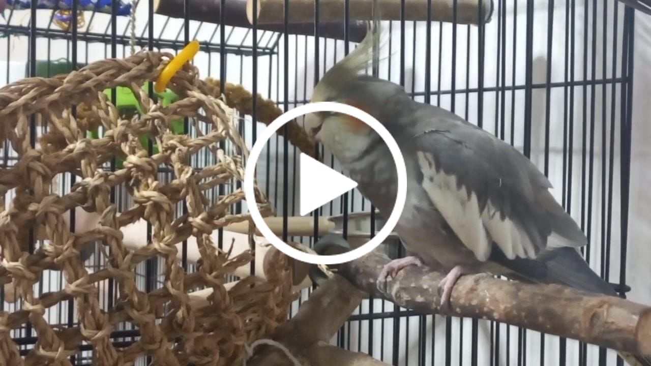Customer video review of 7x7 Seagrass Mat