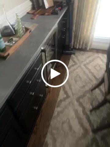 Customer video review of Blueberry D9 THC