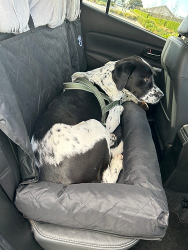 Customer photo review of Car Seat Cover