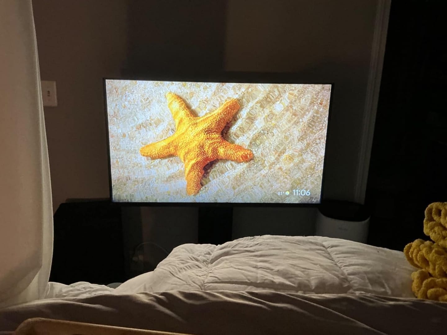 Customer photo review of Palette 43 inch Smart Google TV