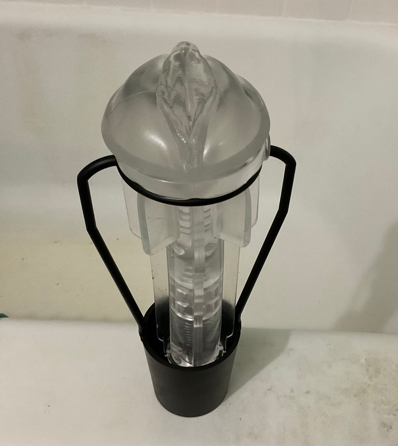 Customer photo review of Ice Lady
