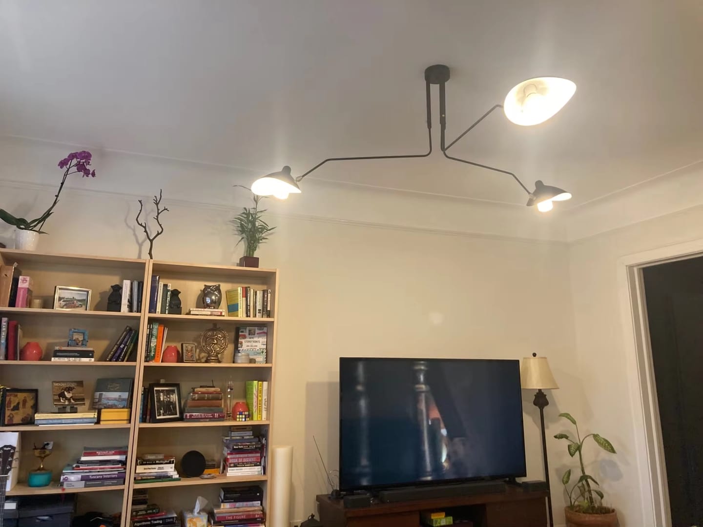 Customer photo review of WOMO Arms Semi-Flush Mount Light-WM2057