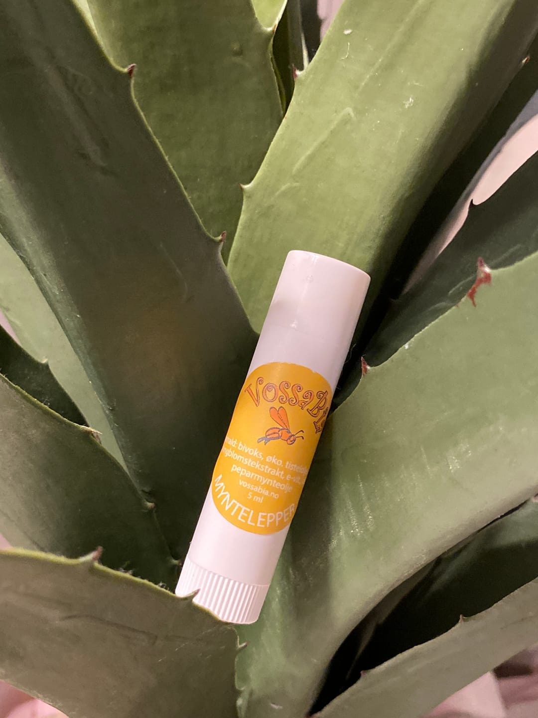 Customer photo review of Peppermint Lip Balm