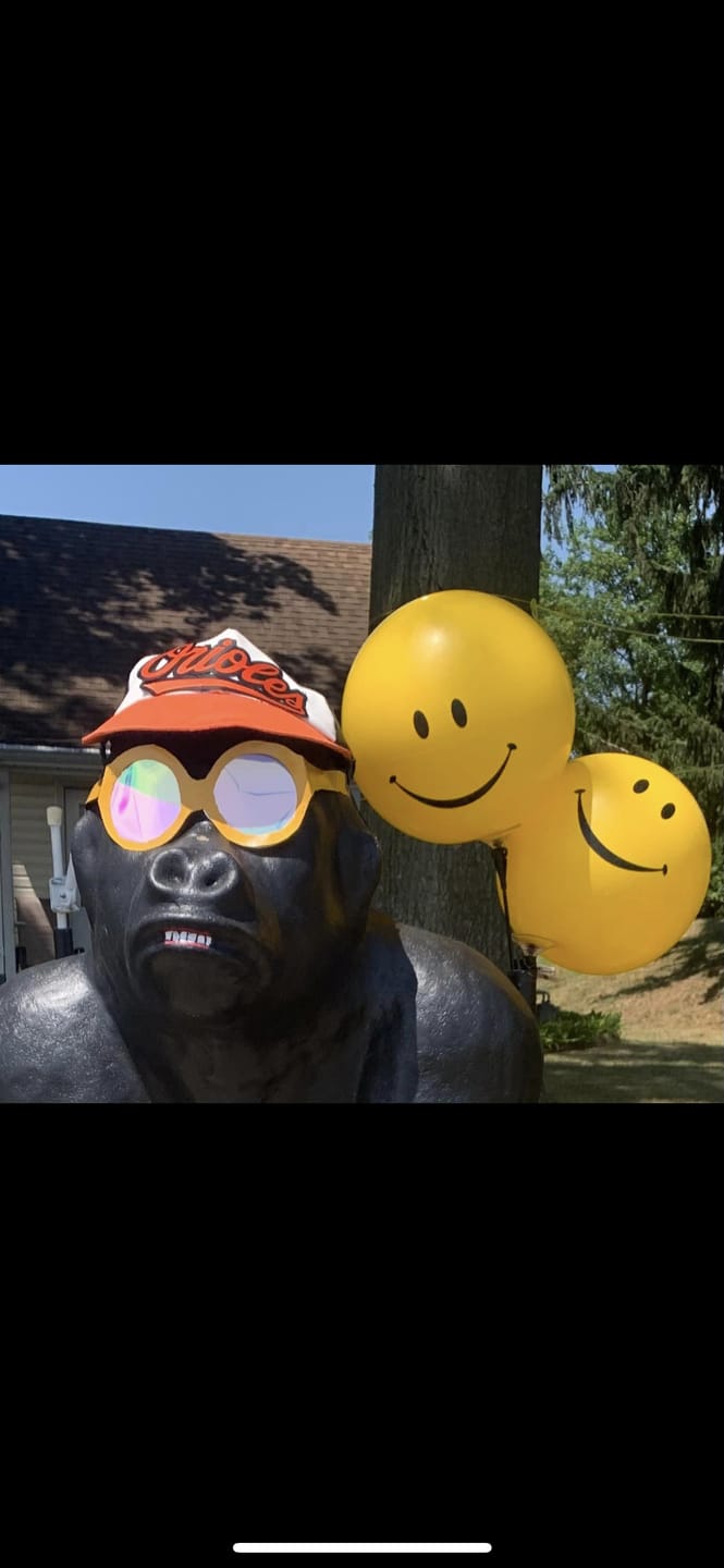 Customer photo review of DuraBalloon® 5-Balloon Cluster Pole Kit