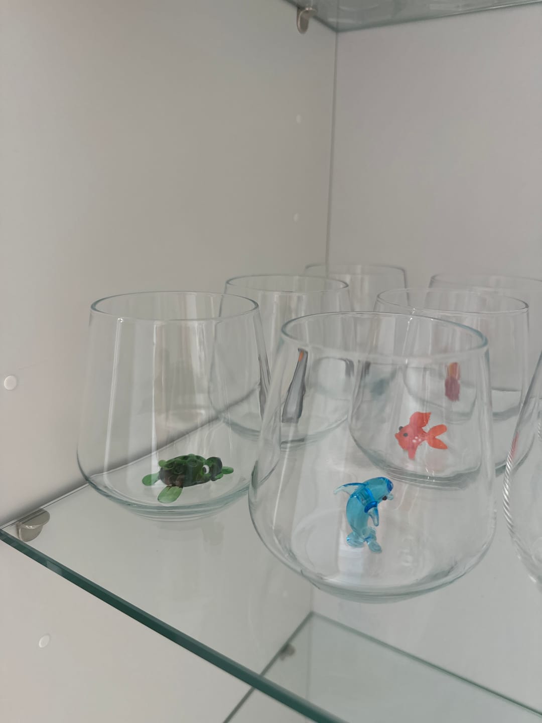 Customer photo review of Ocean Set of 6