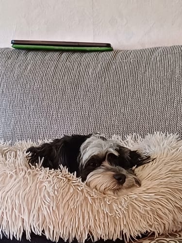 Customer photo review of CalmBed - Motverkar stress & hjälper mot ångest