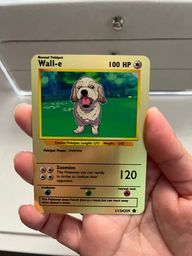 Customer photo review of Number of Pokepets and Trainers