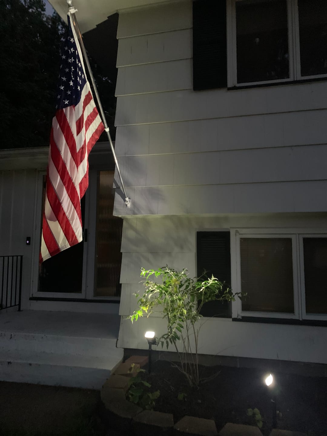 Customer photo review of TSUN Solar Spotlights For Trees Cool White