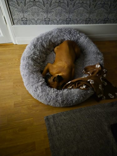 Customer photo review of CalmBed - Motverkar stress & hjälper mot ångest