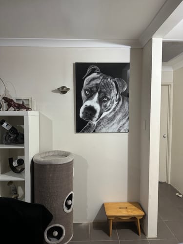 Customer photo review of Acrylic Mounting Panel - 70 x 90 cm