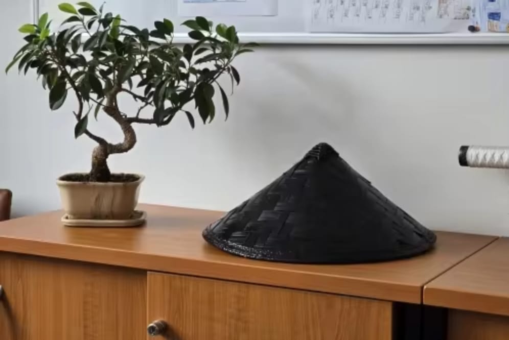 Customer photo review of Straw Hat Samurai