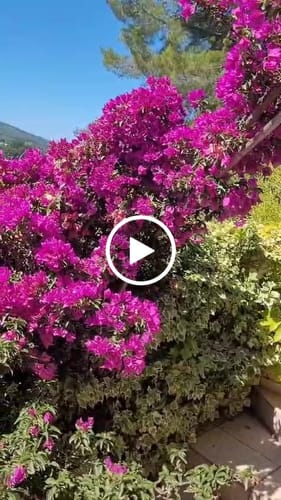 Customer video review of Lever du soleil