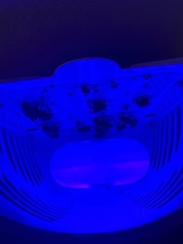 Customer photo review of 20% CashBack