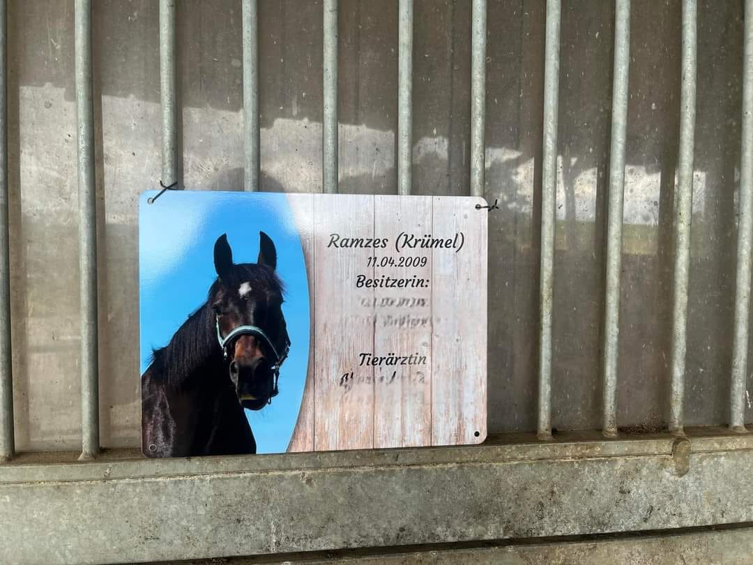 Customer photo review of Pferde Boxenschild mit Foto & Wunschtext (UV- und wetterfest)