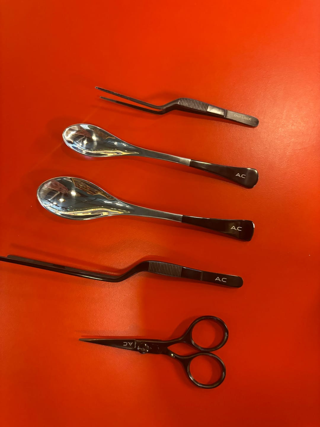 Customer photo review of SignatureSpoon Duo