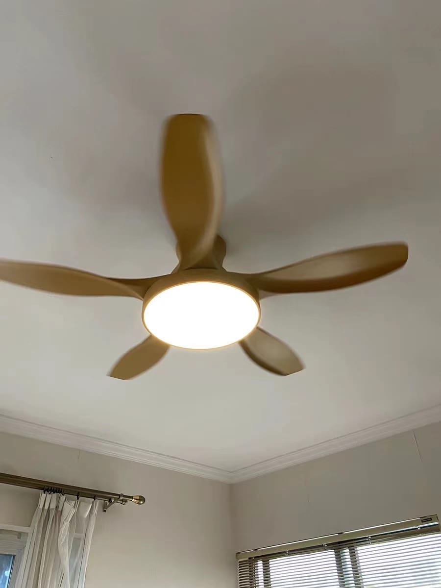 Customer photo review of WOMO Scandi Reversible Ceiling Fan with Light-WM5002