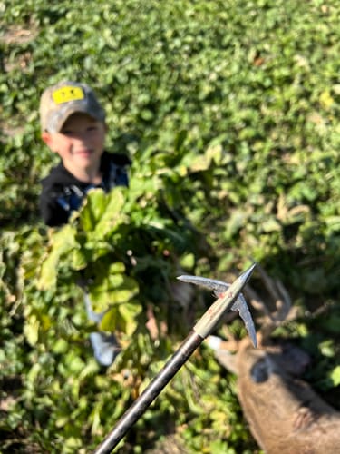 Customer photo review of Beast Broadheads (2-Pack + Practice Tip)