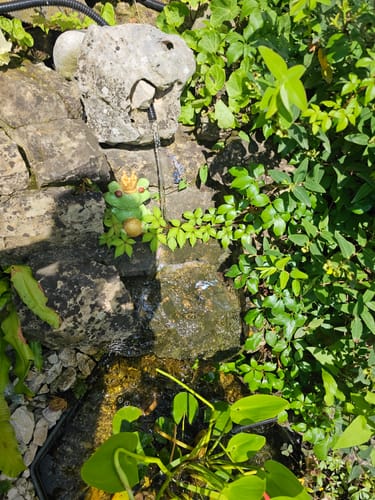 Customer photo review of Transparenter wasserdichter Beschichtungsmittel