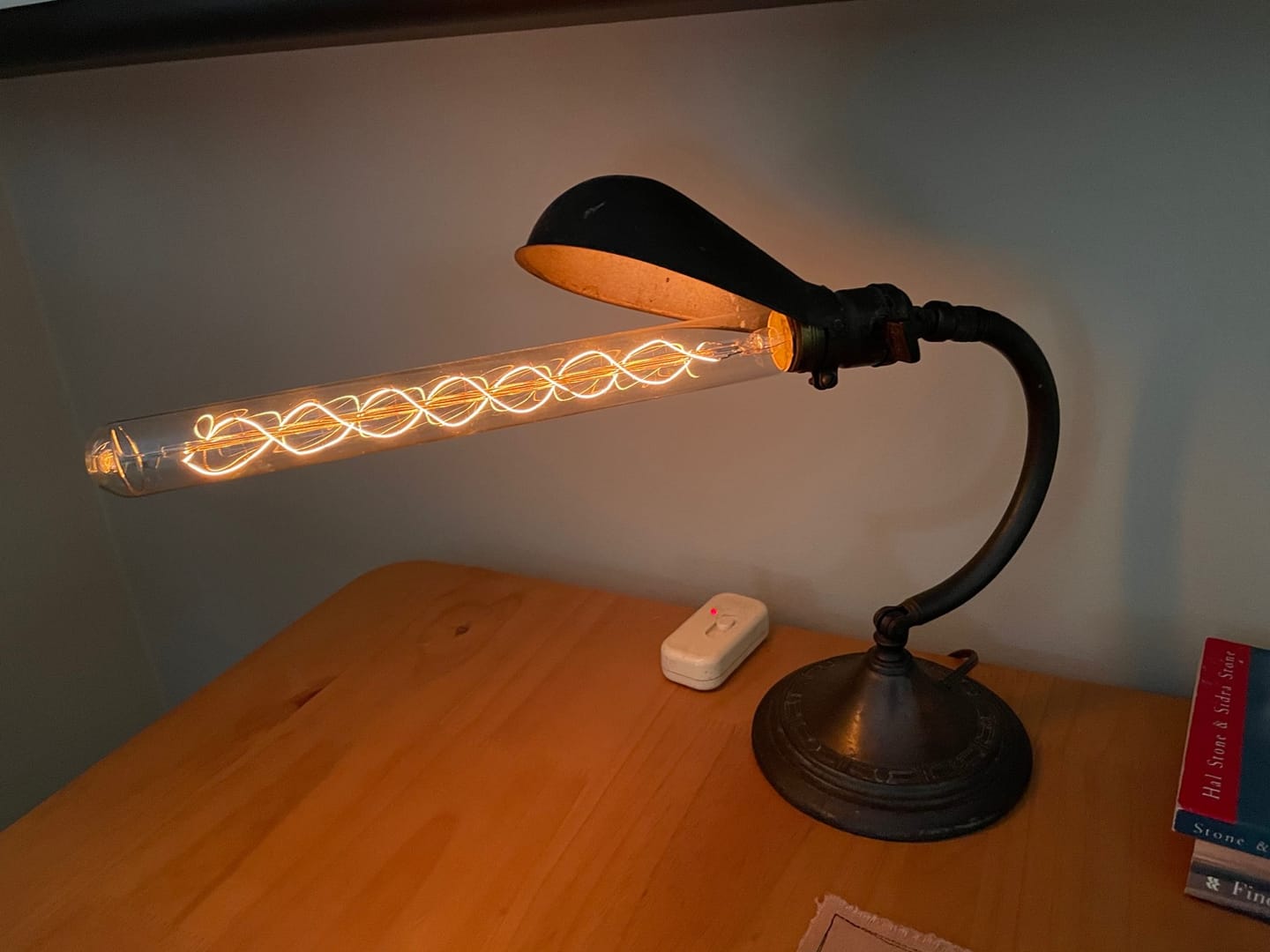 Customer photo review of Beacon Tube Vintage Bulb - 40 Watt - 11.75 in. Length - Clear