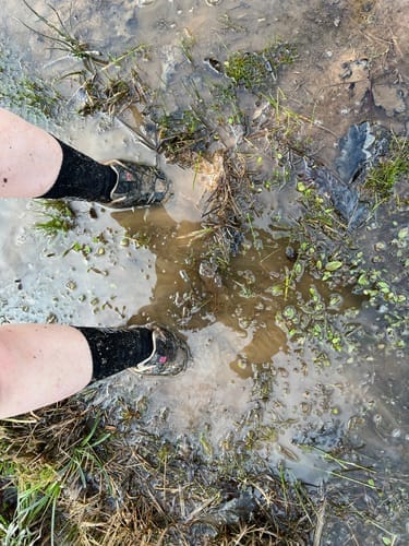 Customer photo review of HEMY Crew Waterproof Socks - Limited Edition - Pre-Order