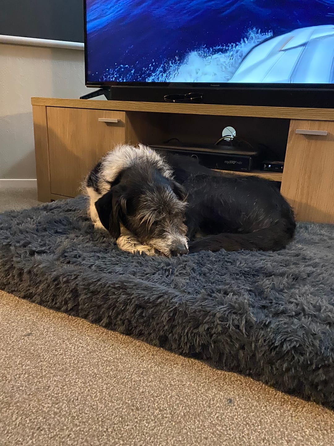 Customer photo review of Brooklyn® Ultra Memory Foam Bed