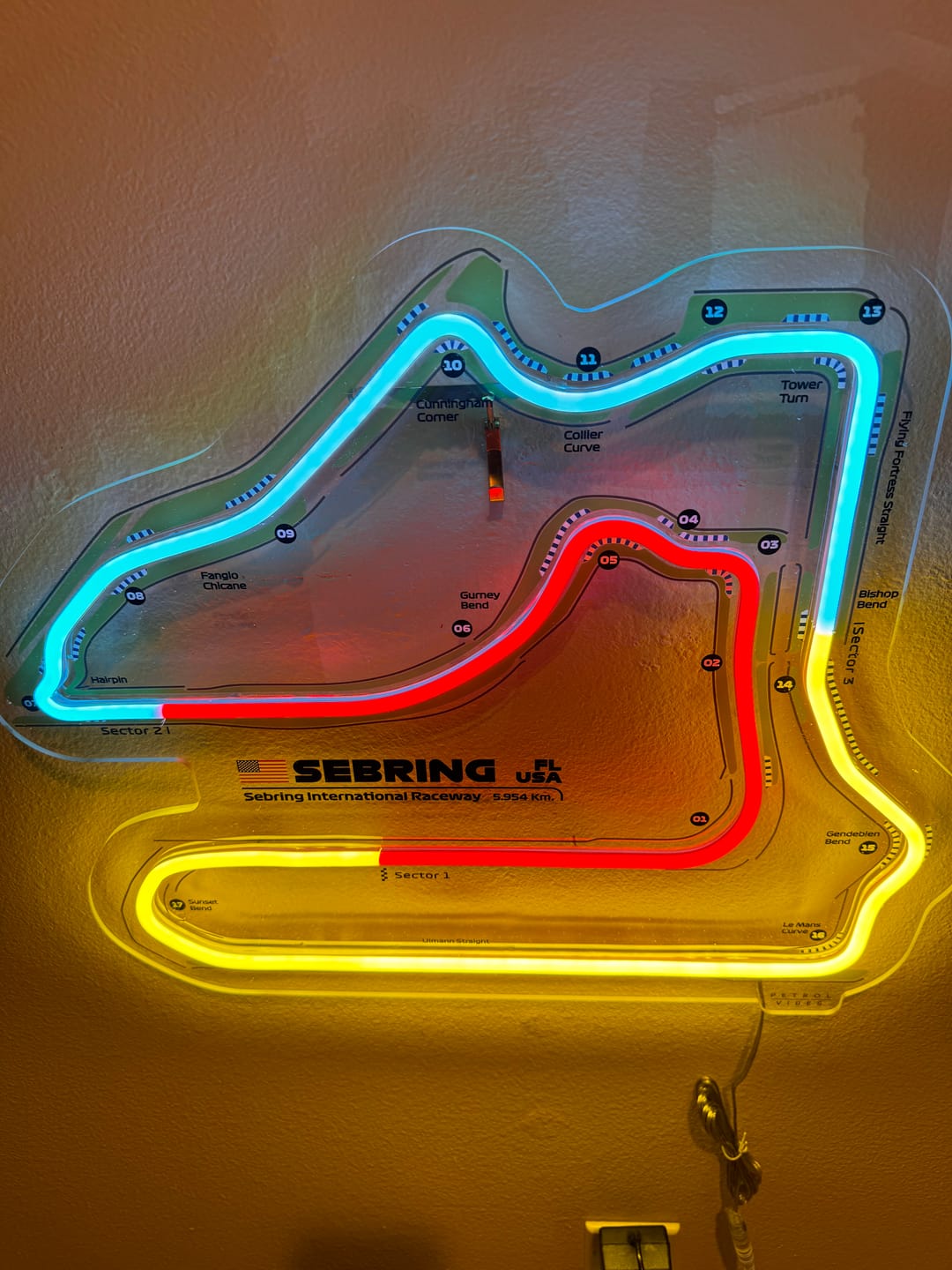 Customer photo review of Your Custom Neon Race Track