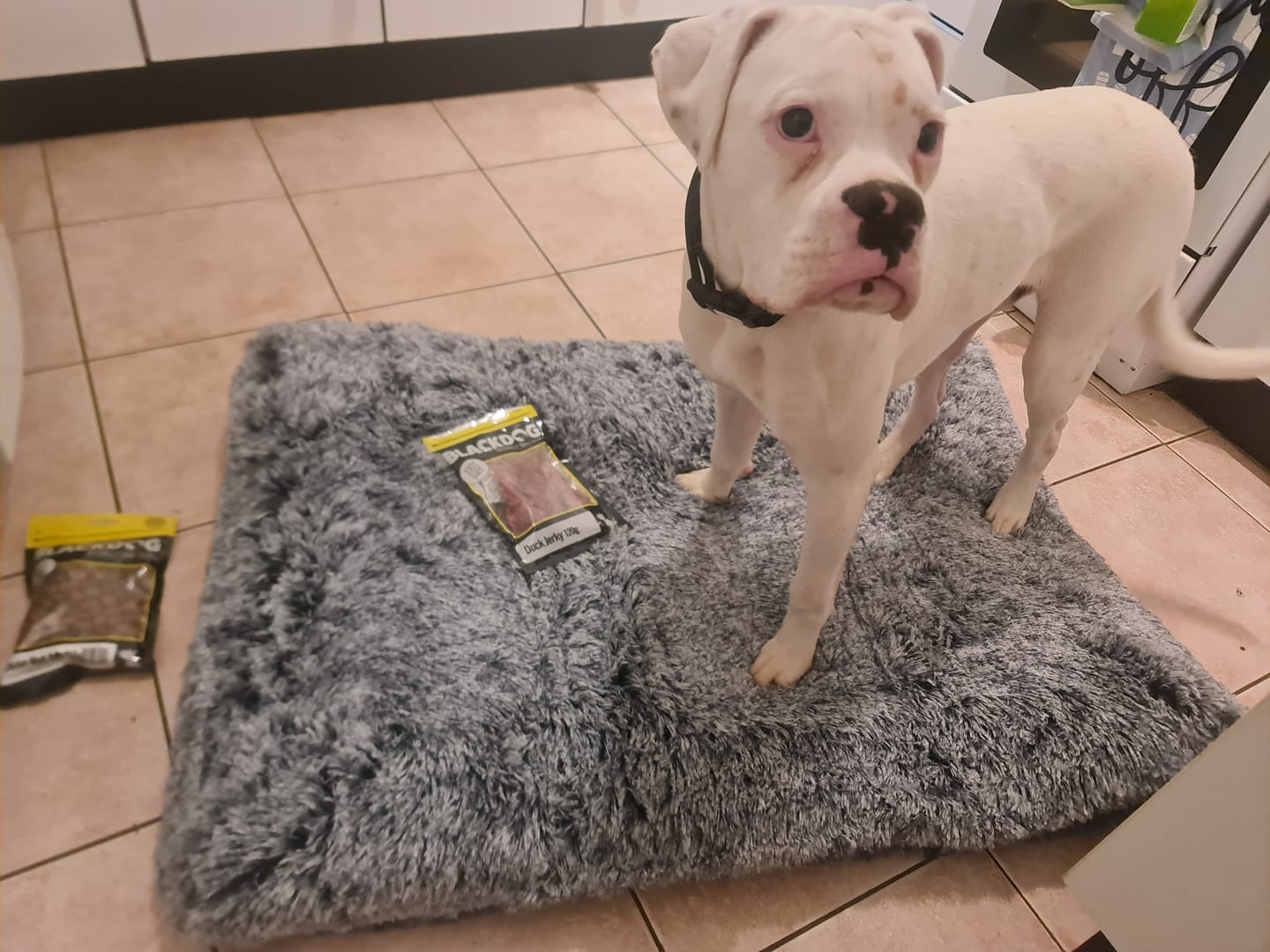 Customer photo review of Blackdog Duck Jerky Treats 120g