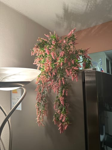 Customer photo review of Kunst Hangplant Lichtroze 2st. 70cm
