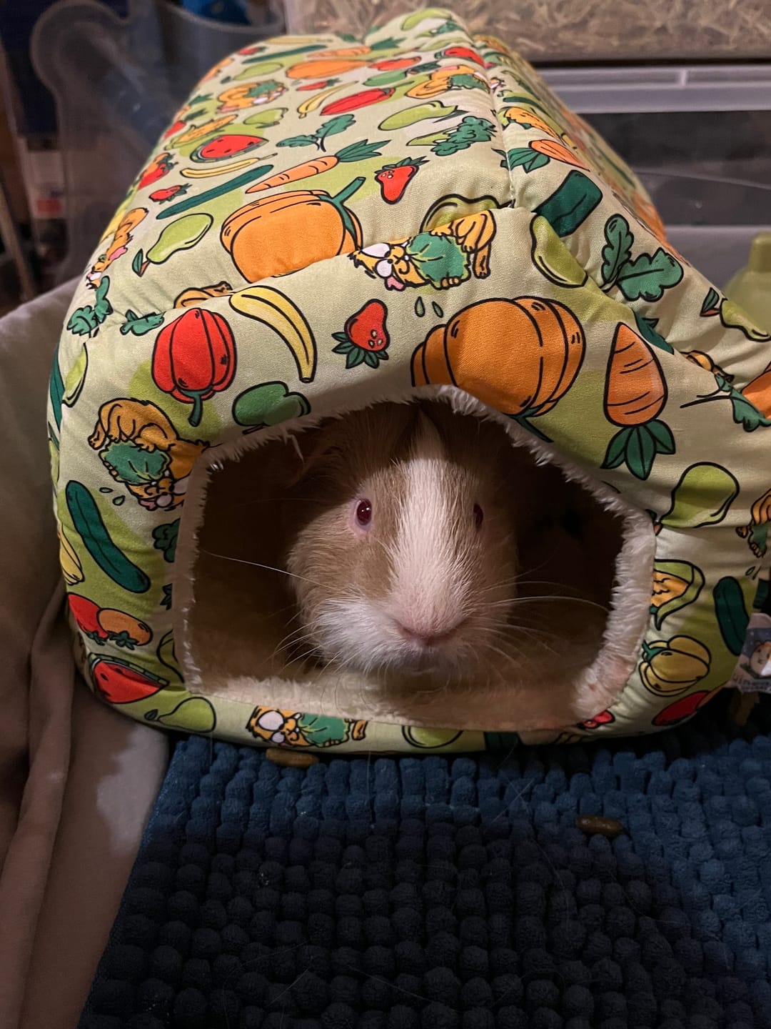 Customer photo review of Cosy Cottage
