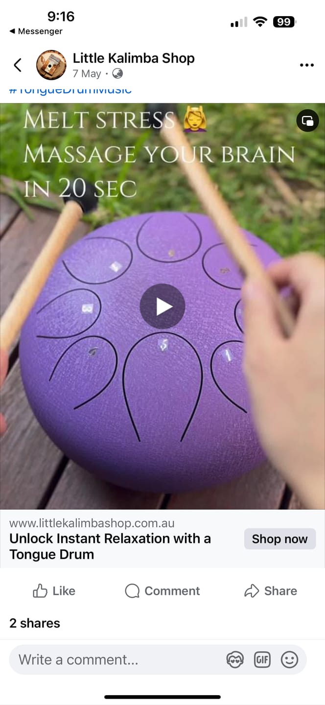 Customer photo review of Hluru Steel Tongue Drum 12" 8-Note C Pentatonic