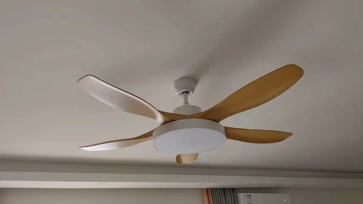 Customer photo review of WOMO Scandi Reversible Ceiling Fan with Light-WM5002