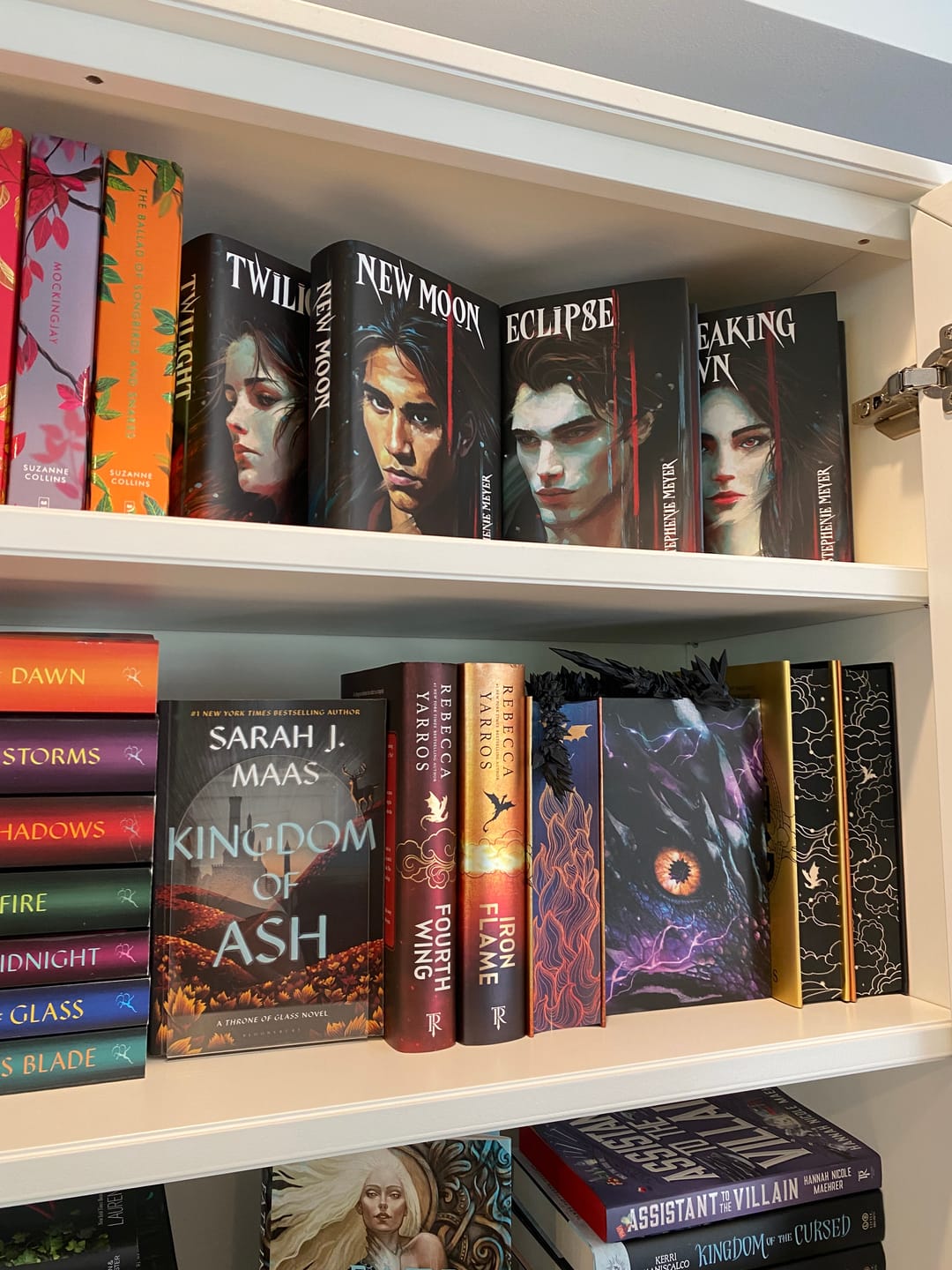 Customer photo review of Twilight Dust Jackets