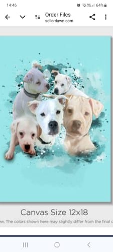 Customer photo review of Personalized Pet Art - Canvas