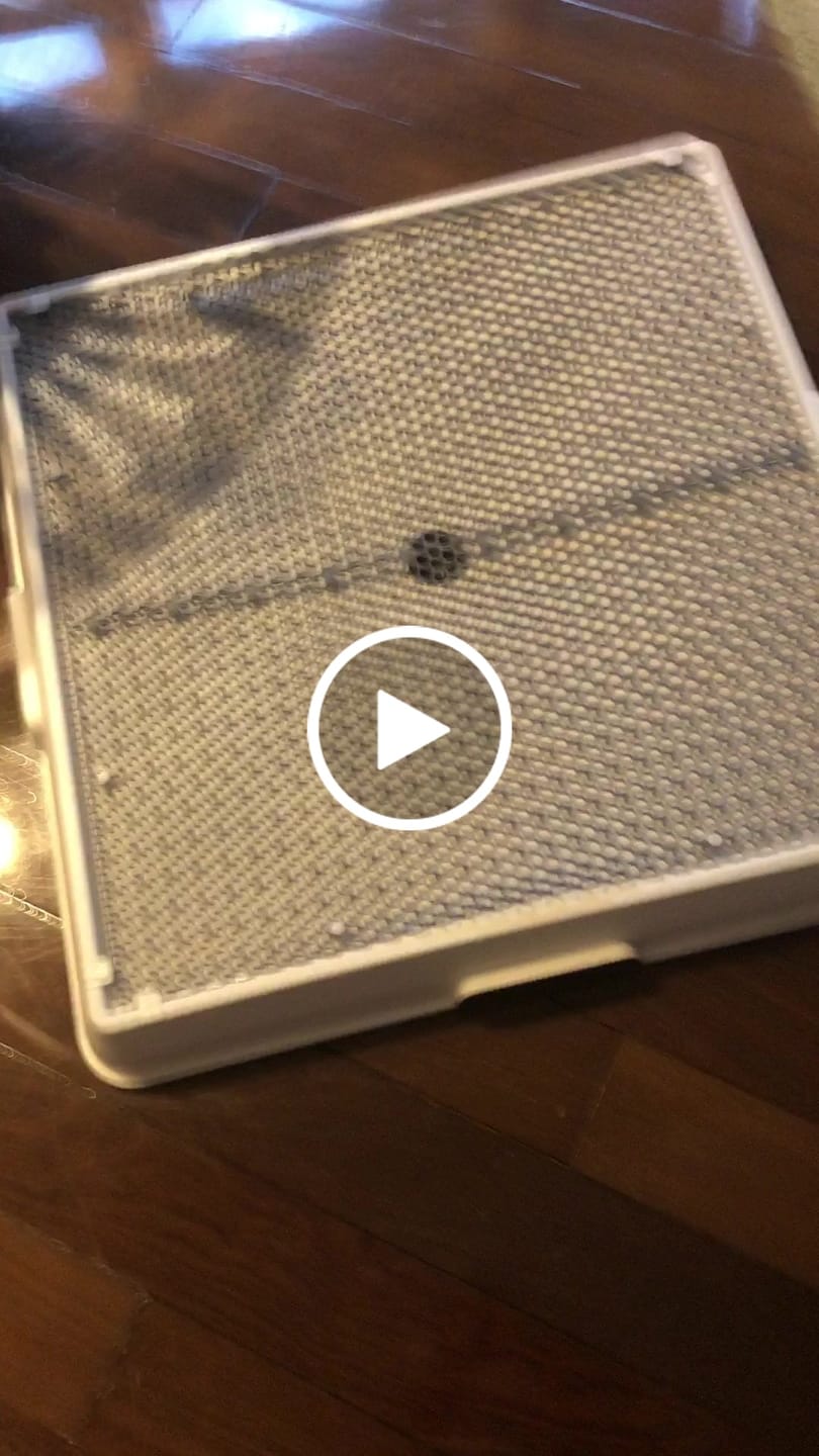 Customer video review of Tapete de Reposição