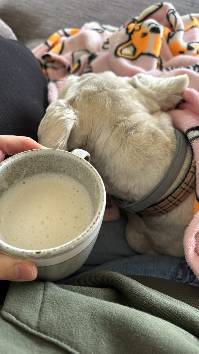 Customer photo review of White Chocolate Bone Broth Powder