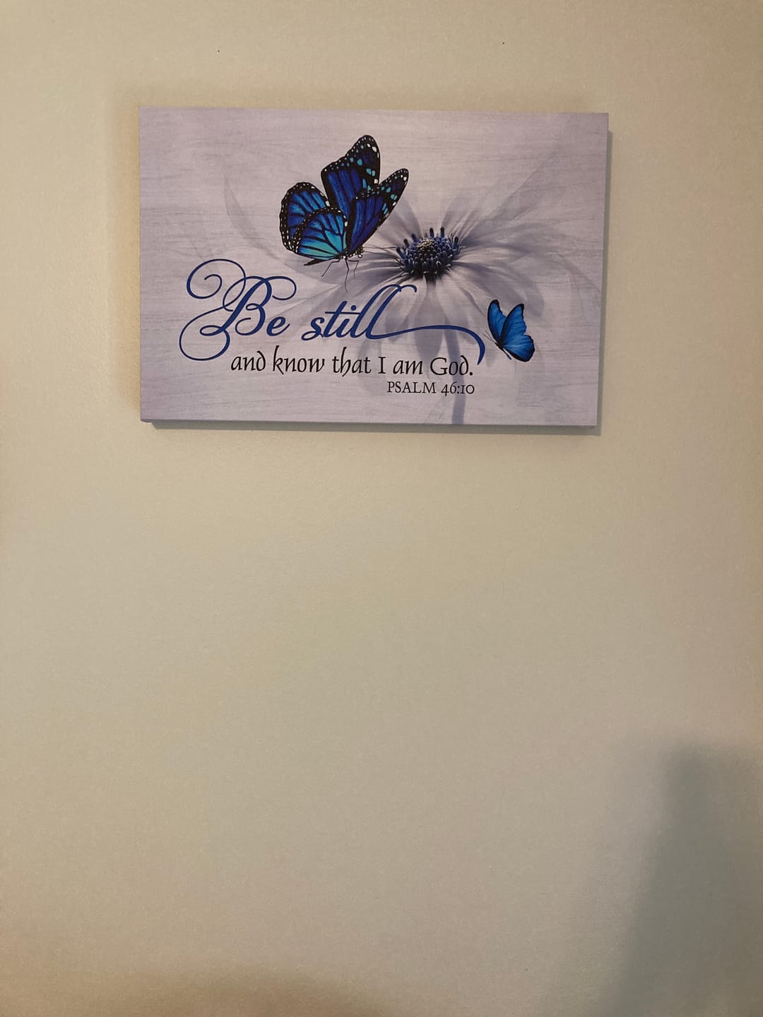 Customer photo review of Butterfly Flower Be Still And Know That I Am God Psalm 46:10 Wall Art Canvas