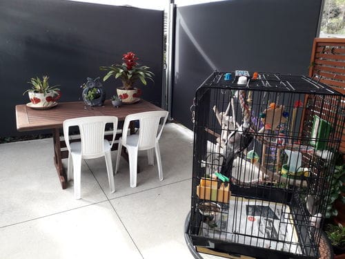 Customer photo review of Patio Screen Retractable Side Awning 2m x 3m