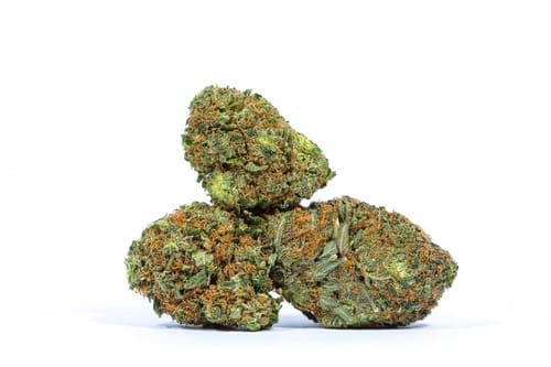 Customer photo review of FLOWER D-8 D-9 THC-P BLEND Cherrie Pie 18g