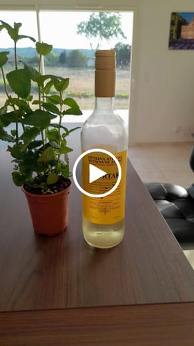 Customer video review of Retsina Wine Kourtaki - 750ml