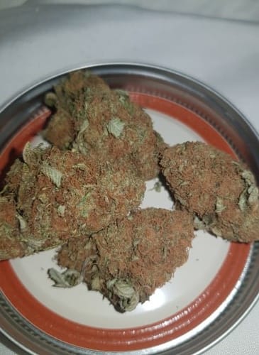 Customer photo review of FLOWER D-8 D-9 THC-P BLEND Bubba Kush 18G