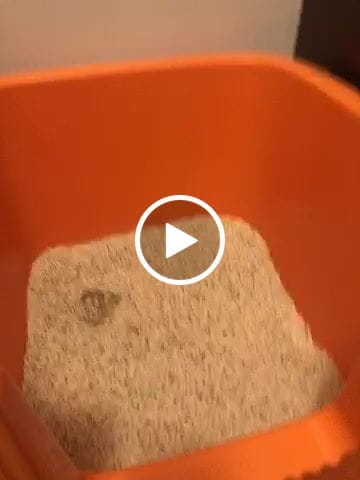 Customer video review of Michu Premium Mixed Tofu Cat Litter Pro Gen2 6L- Superb in Flushable, Eco-Friendly & Odour-Control Pre-Order